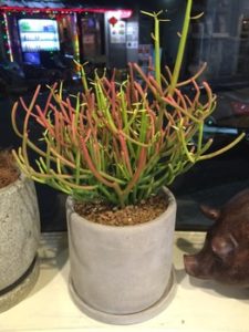 関内の美容室BOBの店内装飾