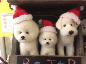 関内の美容室BOBの看板犬