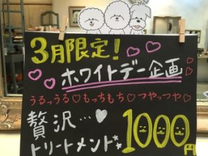 関内の美容室BOBのおすすめメニュー