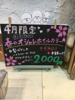 関内の美容室BOBのオススメメニュー