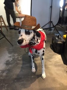 関内の美容室BOBのスタッフの撮影のお勉強