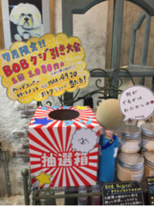 月替わりキャンペーン